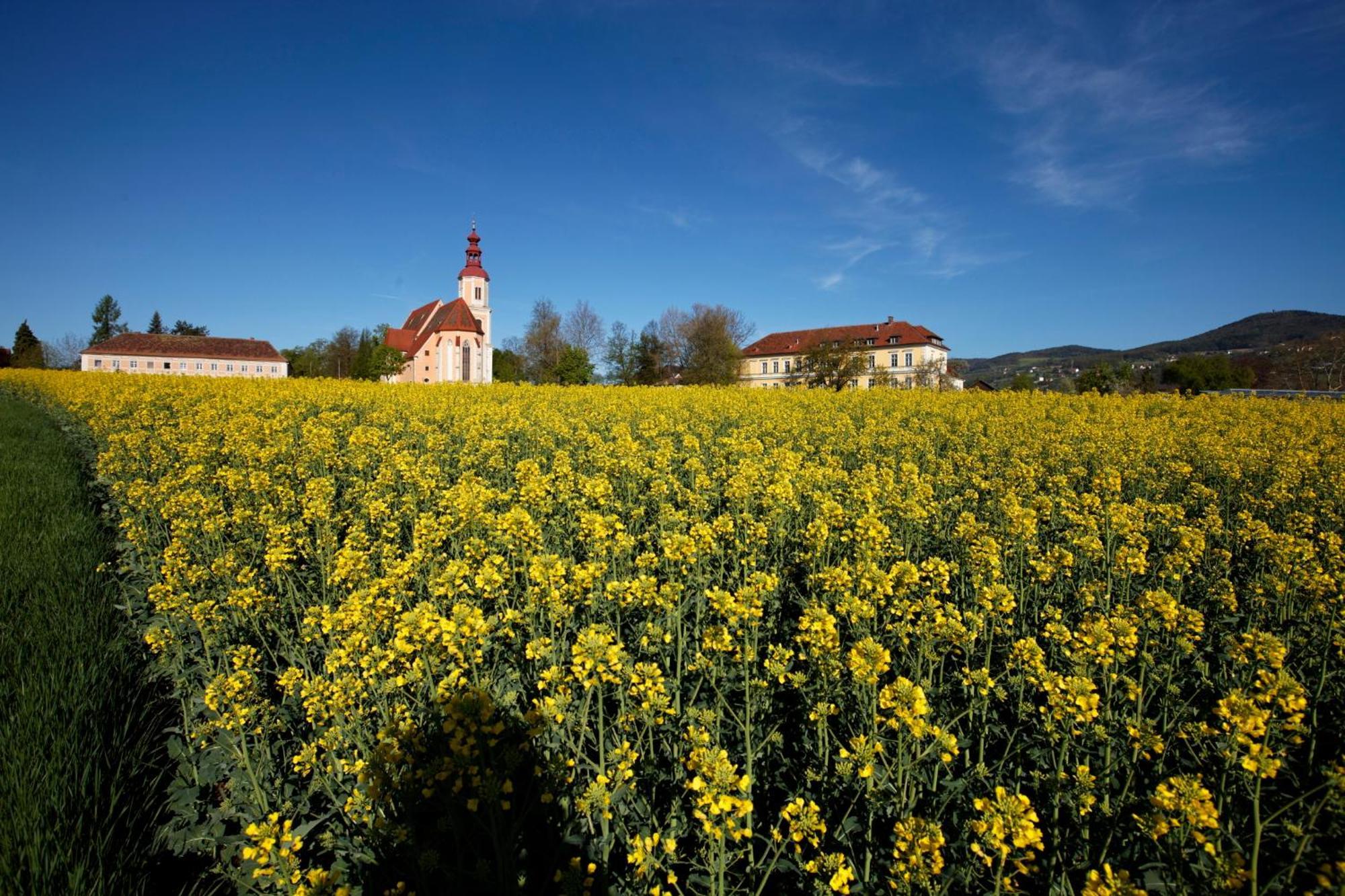 Gasthof Pack "Zur Lebing Au" ฮาร์ทแบร์ก ภายนอก รูปภาพ